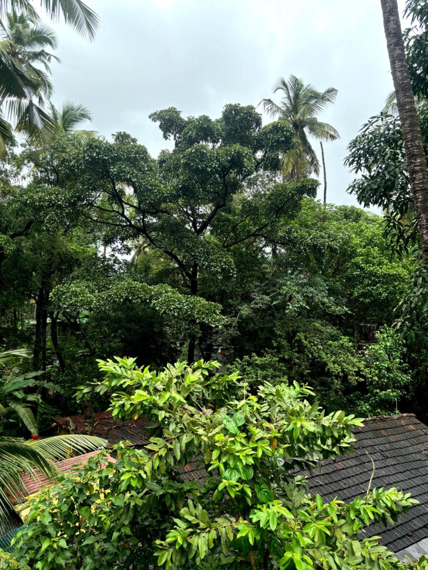 Hotel Harmony By Heaven Calangute Bagian luar foto